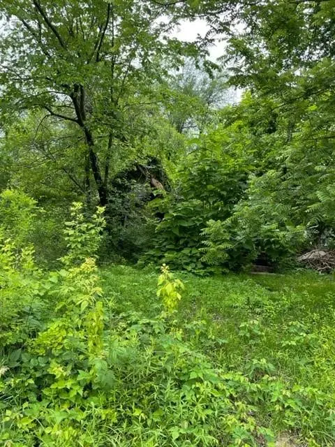 Wall ST, Altamont, MO 64620