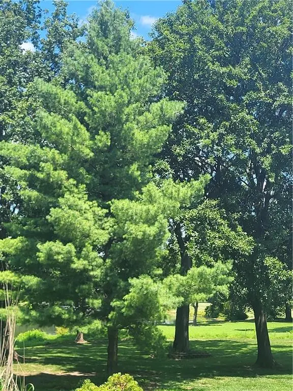 822 SW Lighthouse PT, Lee's Summit, MO 64082