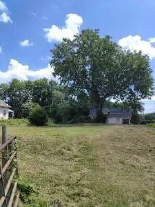 2539 Agnes AVE, Kansas City, MO 64127