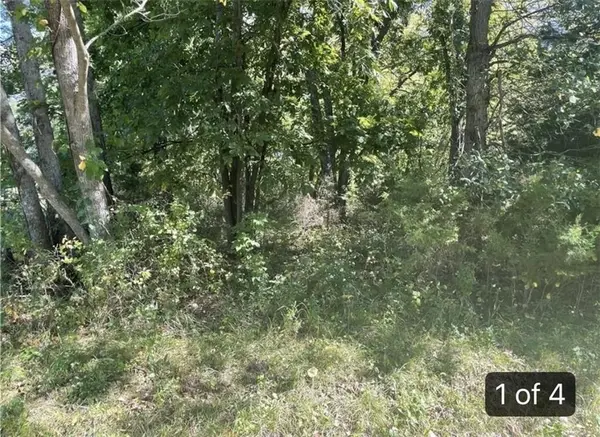 Lot 2701 Fox RD, Altamont, MO 64620