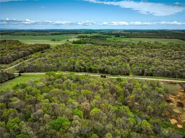 Lot 2 S 725 RD, Stockton, MO 65785