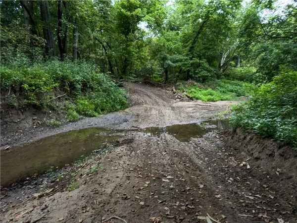 Fire Branch RD, Rayville, MO 64084