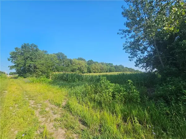 SE Adams RD, Maysville, MO 64469