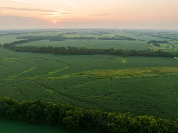 TBD SW 1300th RD, Chilhowee, MO 64733