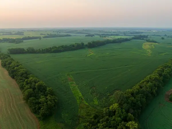 TBD SW 1300th RD, Chilhowee, MO 64733