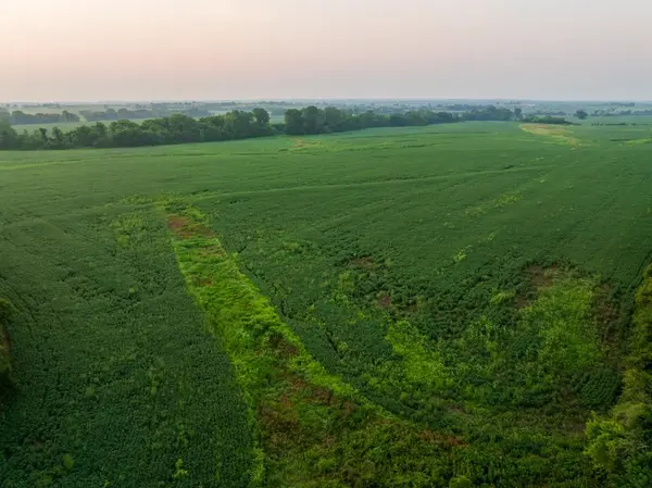TBD Tract 1 SW 1300th RD, Chilhowee, MO 64733