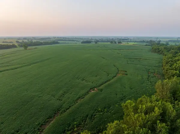 TBD Tract 2 SW 1300th RD, Chilhowee, MO 64733