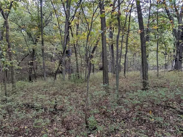 E 270th AVE, Ridgeway, MO 64481