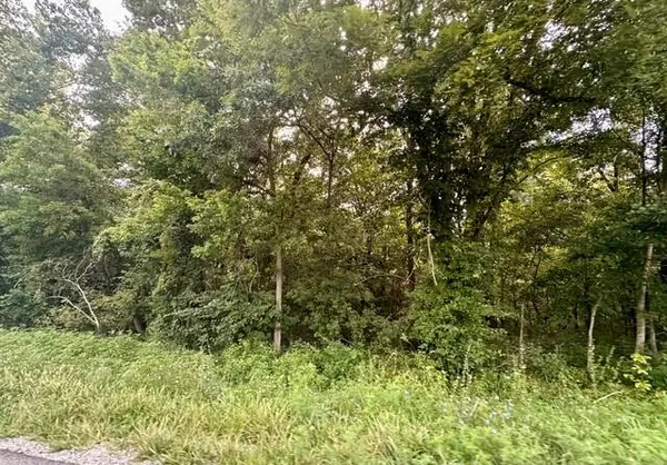 TBD 69 HWY, Turney, MO 64493