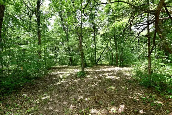 Tract2 150 ST, Lone Jack, MO 64070