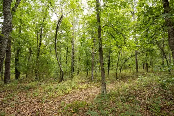 0000 Tract 1 97 HWY, Jerico Springs, MO 64756