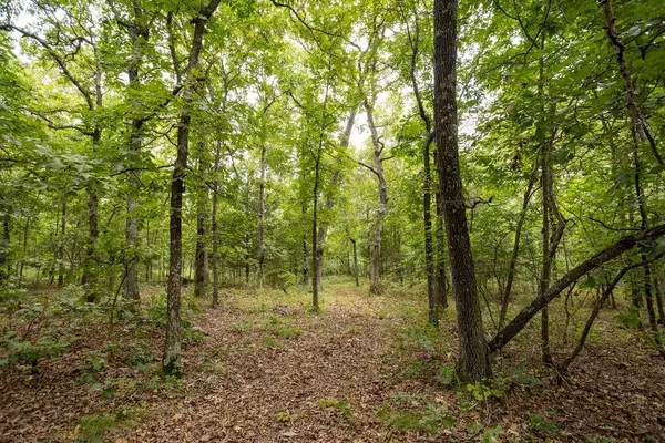 0000 Tract 1 97 HWY, Jerico Springs, MO 64756