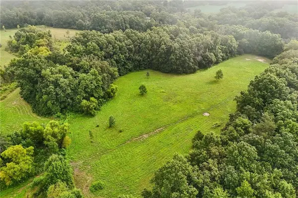 10204 Campbell RD, Green Ridge, MO 65332