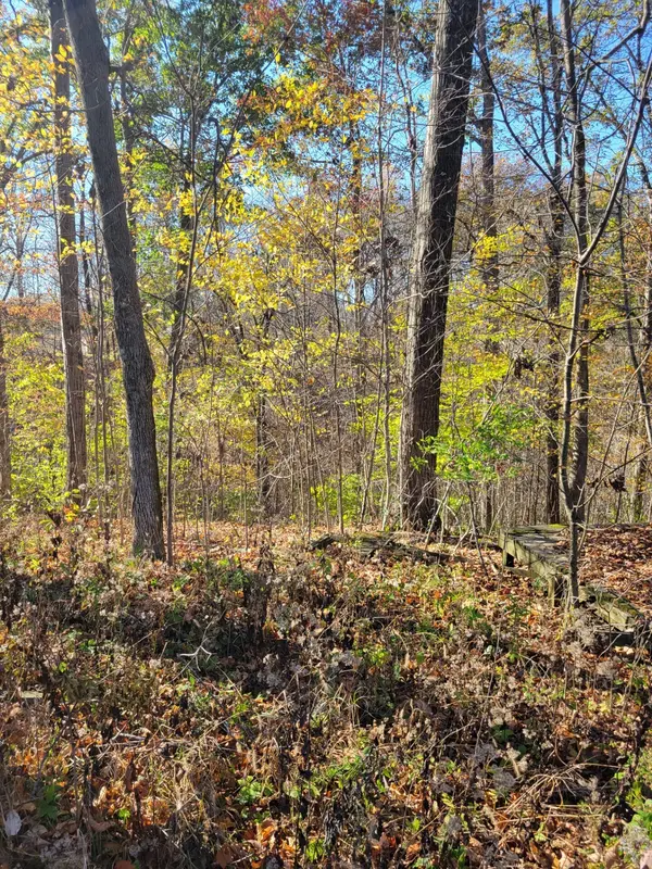 00 Valley Drive DR, Greencastle, IN 46135