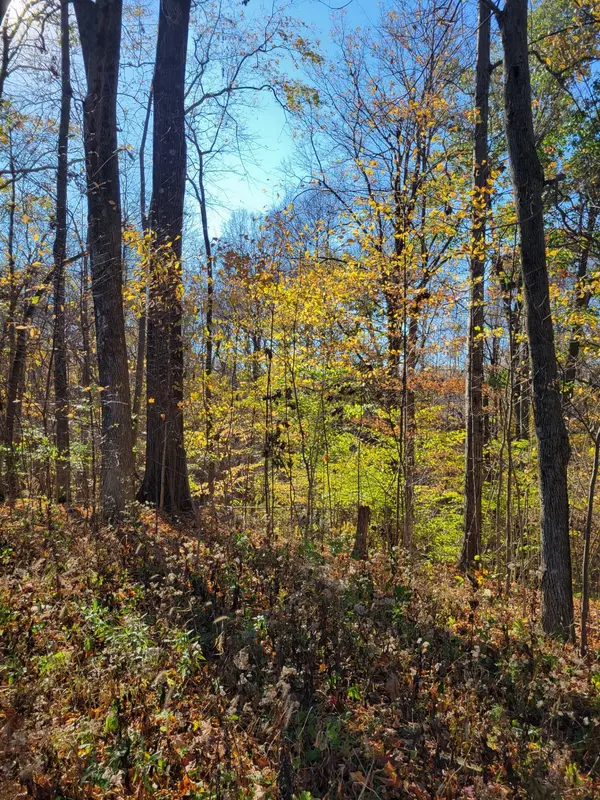 00 Valley Drive DR, Greencastle, IN 46135