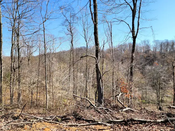 0 Goat Hollow Estates Lot 1, Martinsville, IN 46151