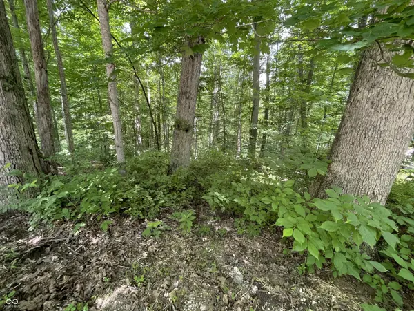 0 Oak Run DR, Nashville, IN 47448