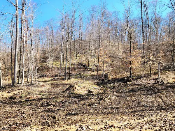 Lot 5 Goat Hollow Estates, Martinsville, IN 46151
