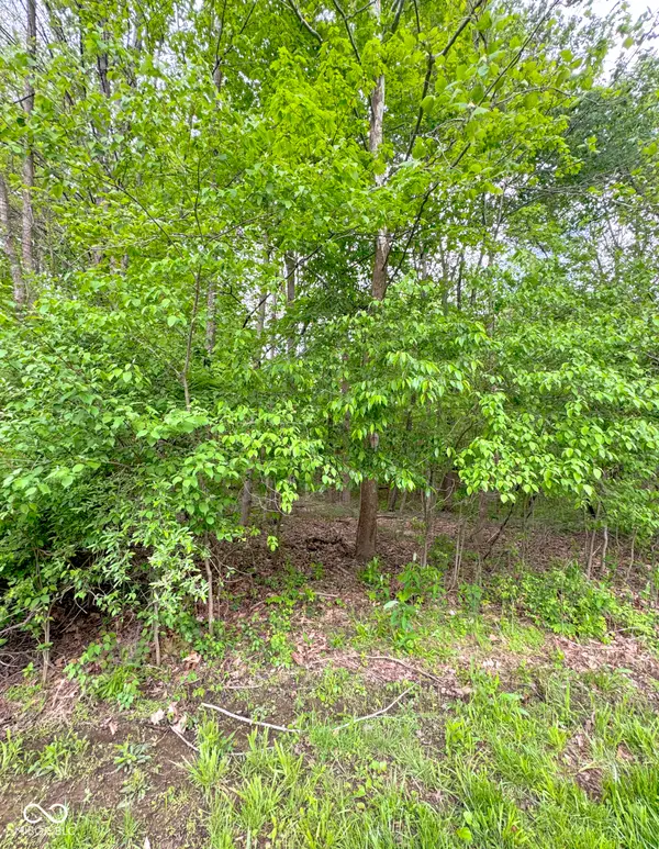 1555 Fox Cross DR, Martinsville, IN 46151