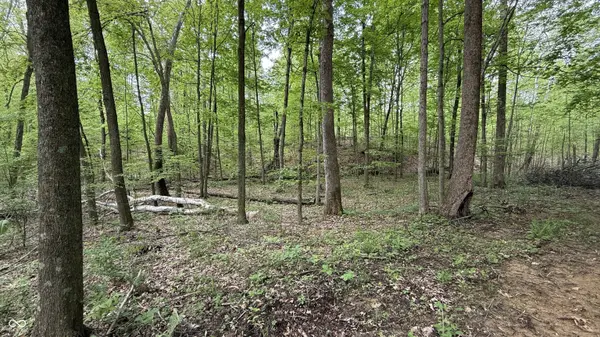 3 Fiscus Cemetery RD, Coal City, IN 47427