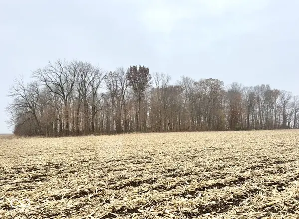 E 300 North, Markle, IN 46750