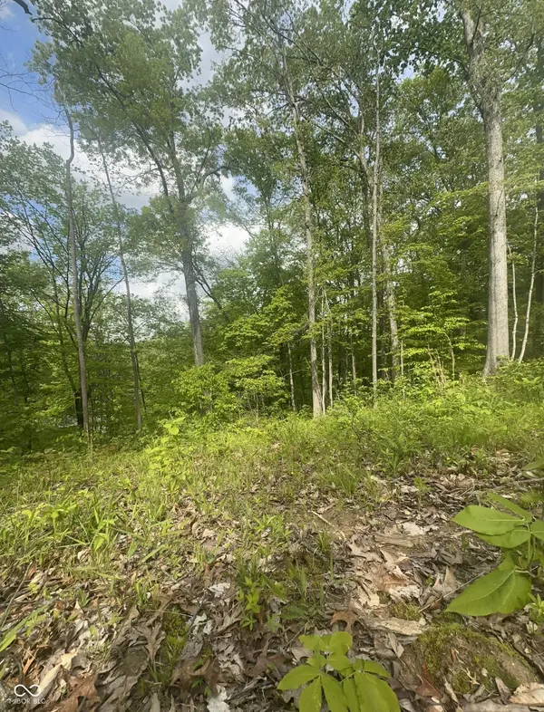 0 N Lasalle RD, Morgantown, IN 46160