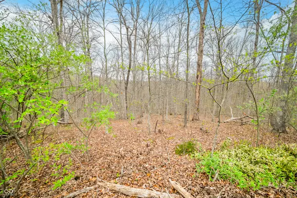 4100 Block of Lower Schooner RD, Nashville, IN 47448