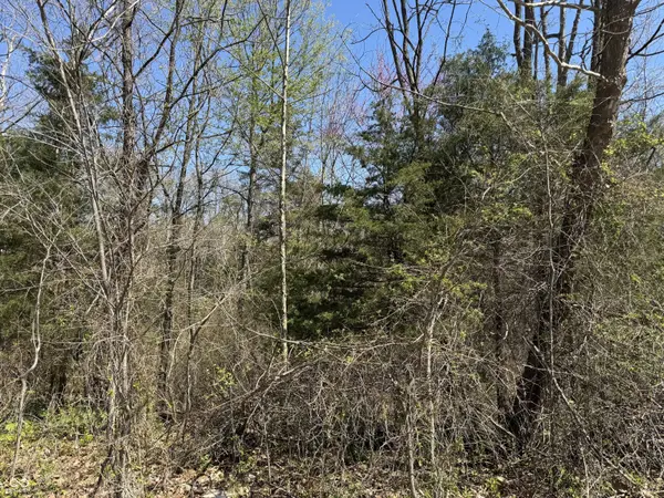 Lot B-21 State Highway 46, Spencer, IN 47460