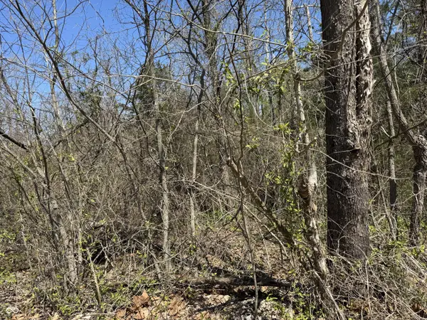 Lot B-21 State Highway 46, Spencer, IN 47460