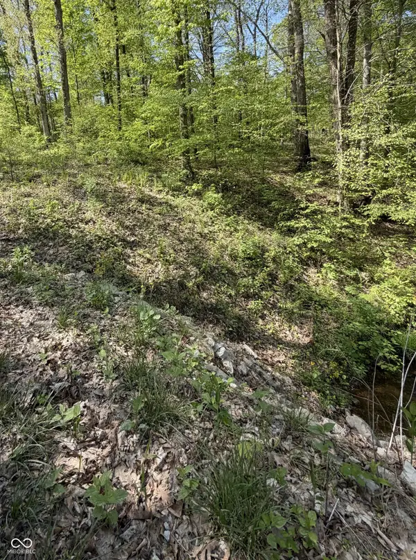 00 Straight Line RD, Coal City, IN 47427