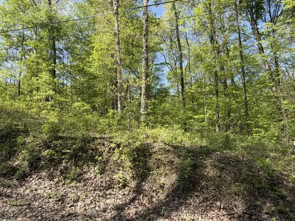 00 Straight Line RD, Coal City, IN 47427