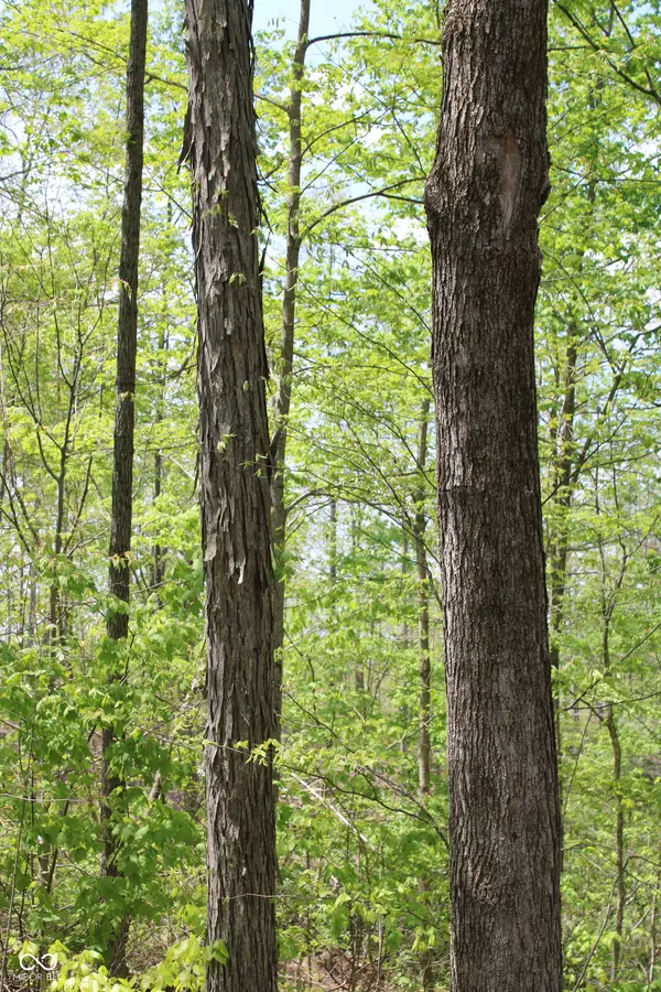 Tract 4: 0 N County Road 555 E, Butlerville, IN 47265