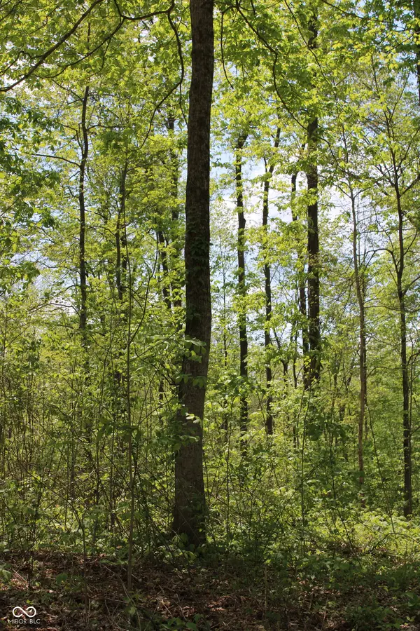 Tract 4: 0 N County Road 555 E, Butlerville, IN 47265