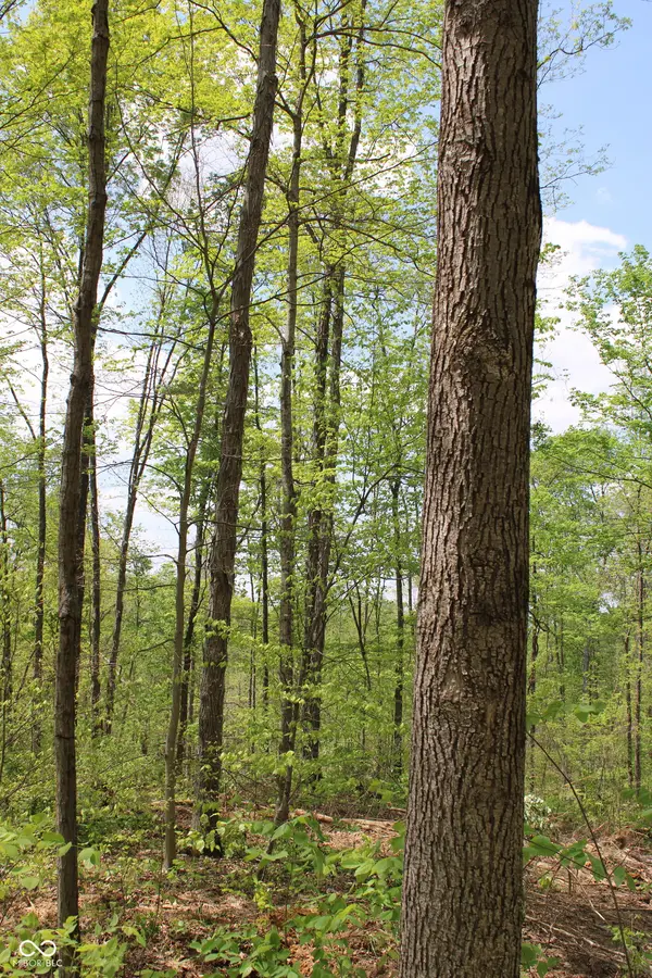 Tract 3: 0 N County Road 555 E, Butlerville, IN 47265