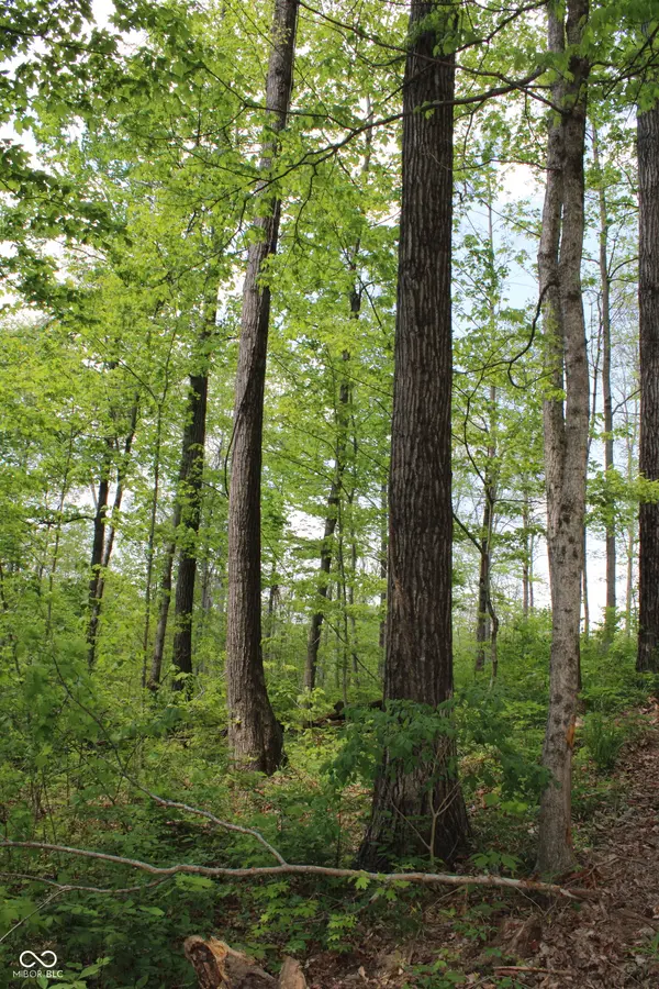 Tract 3: 0 N County Road 555 E, Butlerville, IN 47265