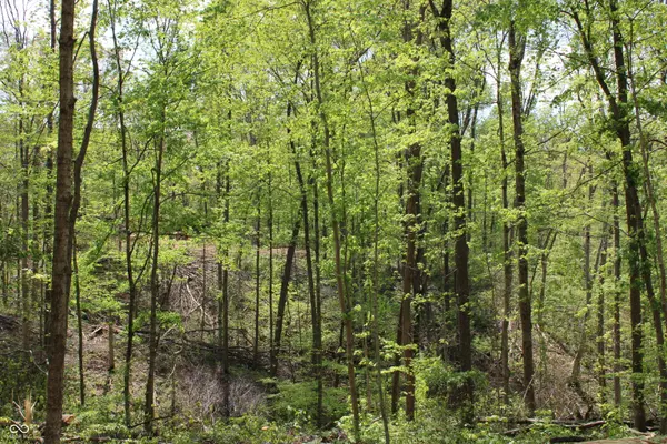 Tract 3: 0 N County Road 555 E, Butlerville, IN 47265