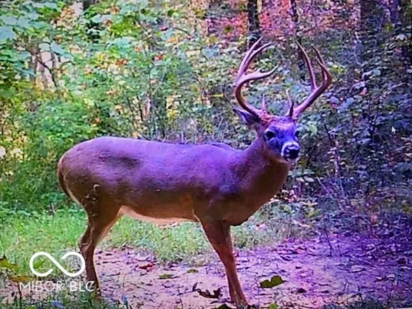 2933 S Saluda Hill RD, Hanover, IN 47243