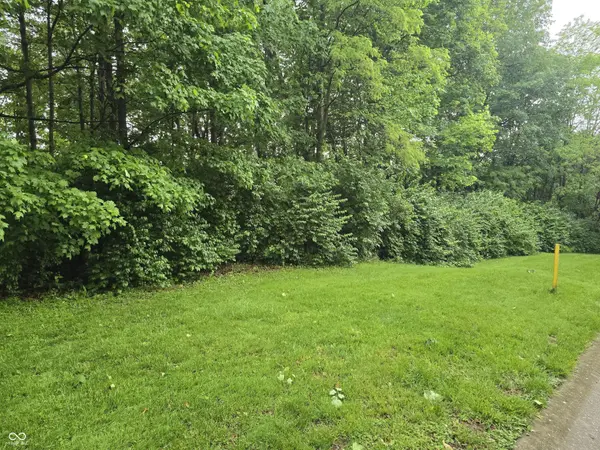9895 Irishmans Run LN, Zionsville, IN 46077