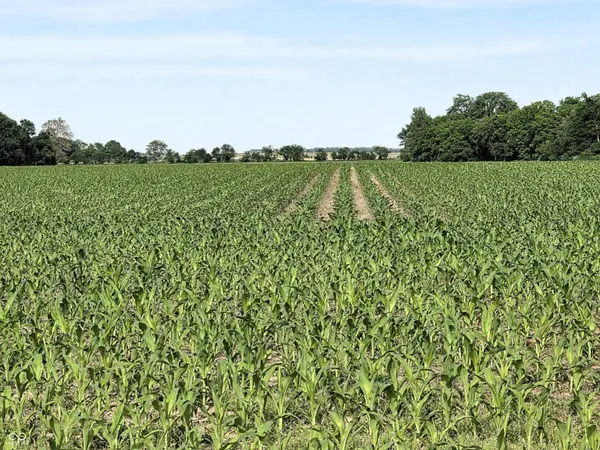 0 N State Road 75, North Salem, IN 46165
