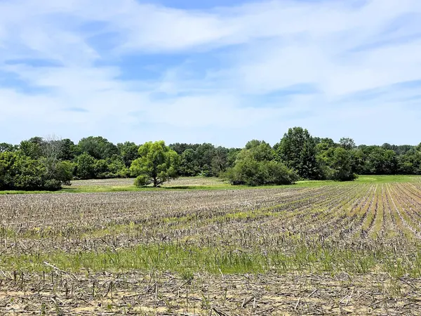 Lot 2 Legacy Estates At Paradise, Martinsville, IN 46151