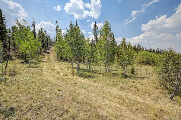 360 Palomino DR, Jefferson, CO 80456