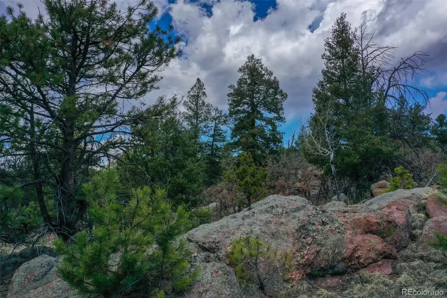 487 Pike View LN, Florissant, CO 80816