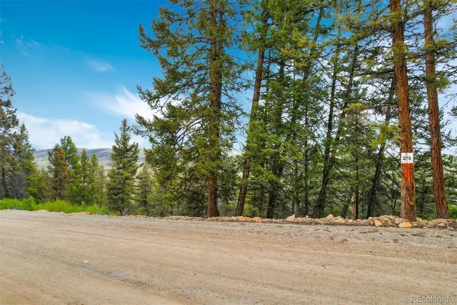 0 Trout Creek LN, Fairplay, CO 80440