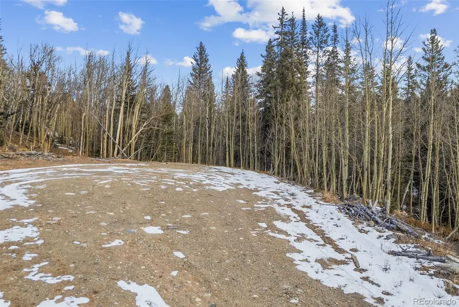 131 Aspen ST, Alma, CO 80420