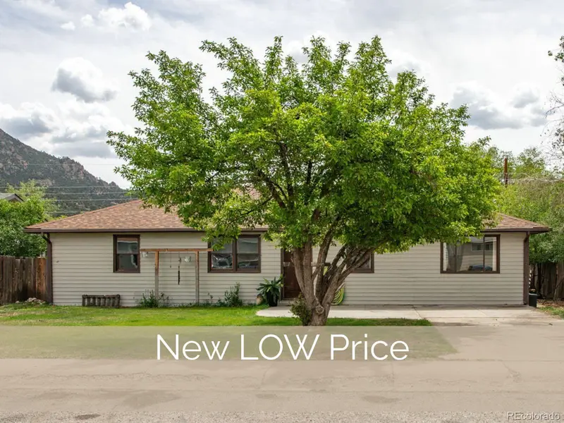 124 Dartmouth DR, Buena Vista, CO 81211