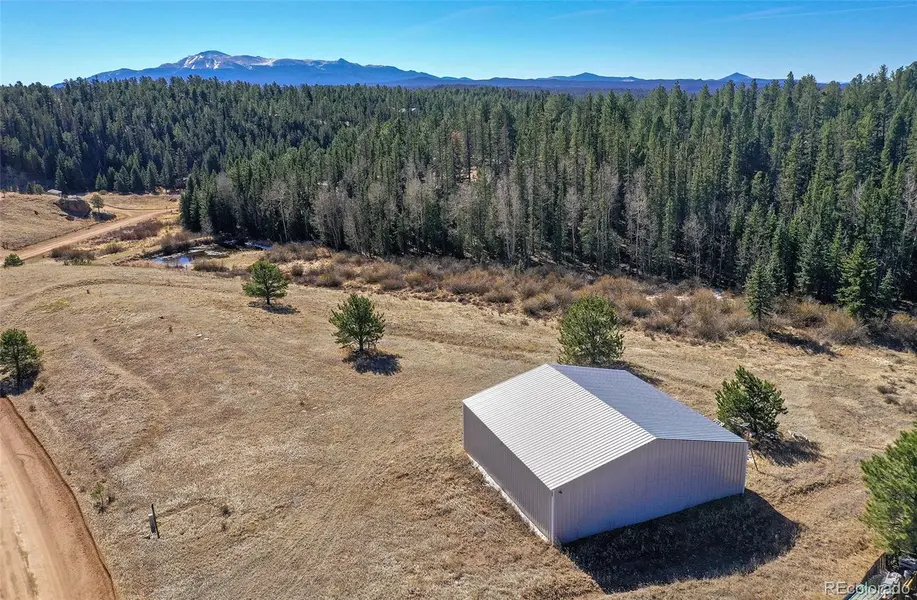 169 Saddleback Creek DR, Florissant, CO 80816
