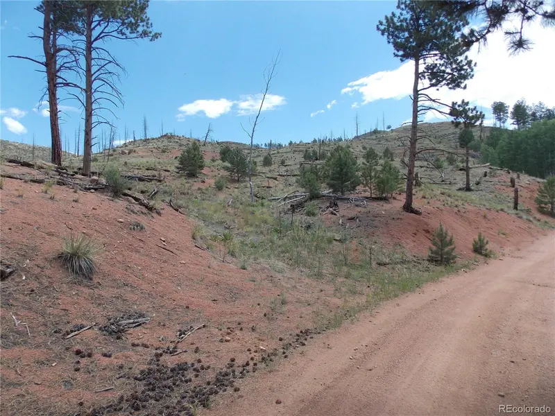 14691 Crooked Trail RD, Woodland Park, CO 80863