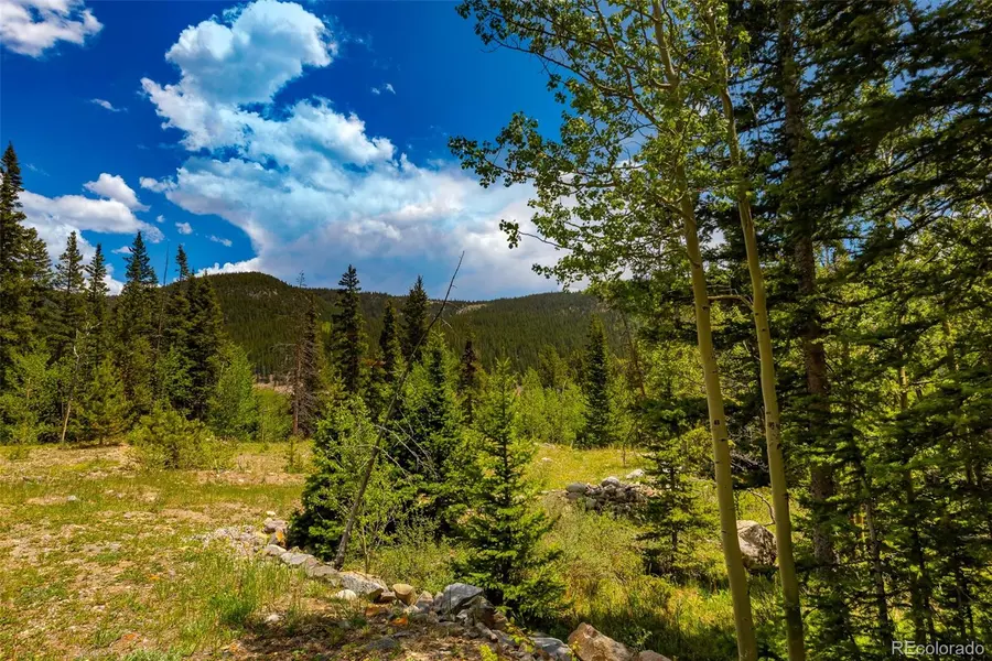 522 Quartzville RD, Alma, CO 80420