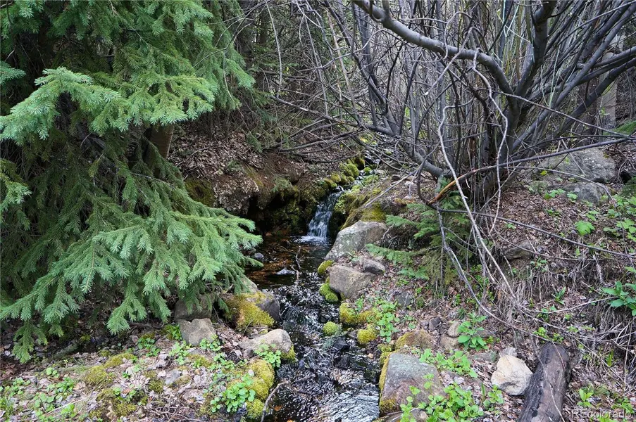 000 Trail Creek RD, Idaho Springs, CO 80452