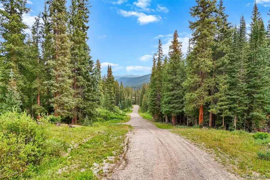 0057 County Road 675, Breckenridge, CO 80424